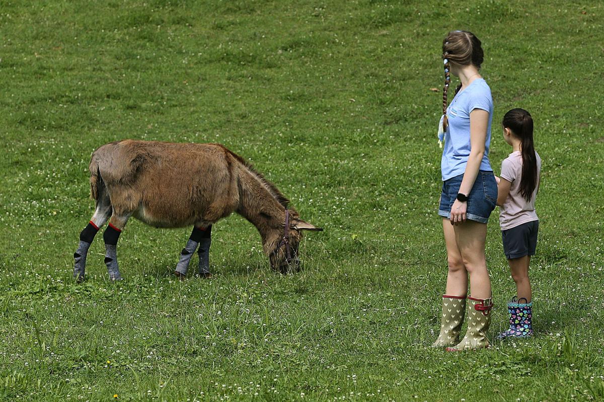 Blue Barn Farms 01.jpg