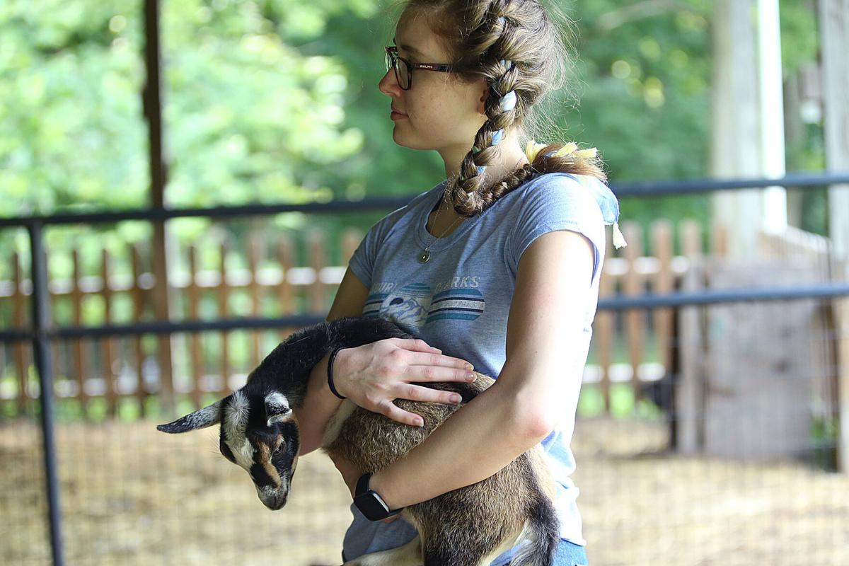 Blue Barn Farms 03.jpg