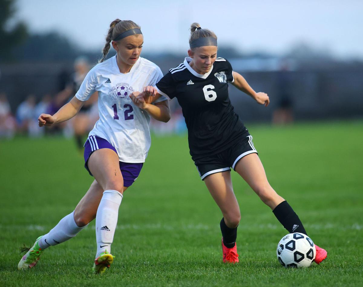 WHS vs Leo soccer regional 02.jpg