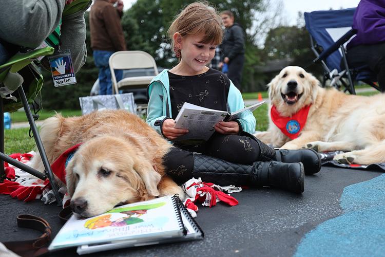 Seger Dog Park on Instagram: BIG WEEKEND COMING UP! 