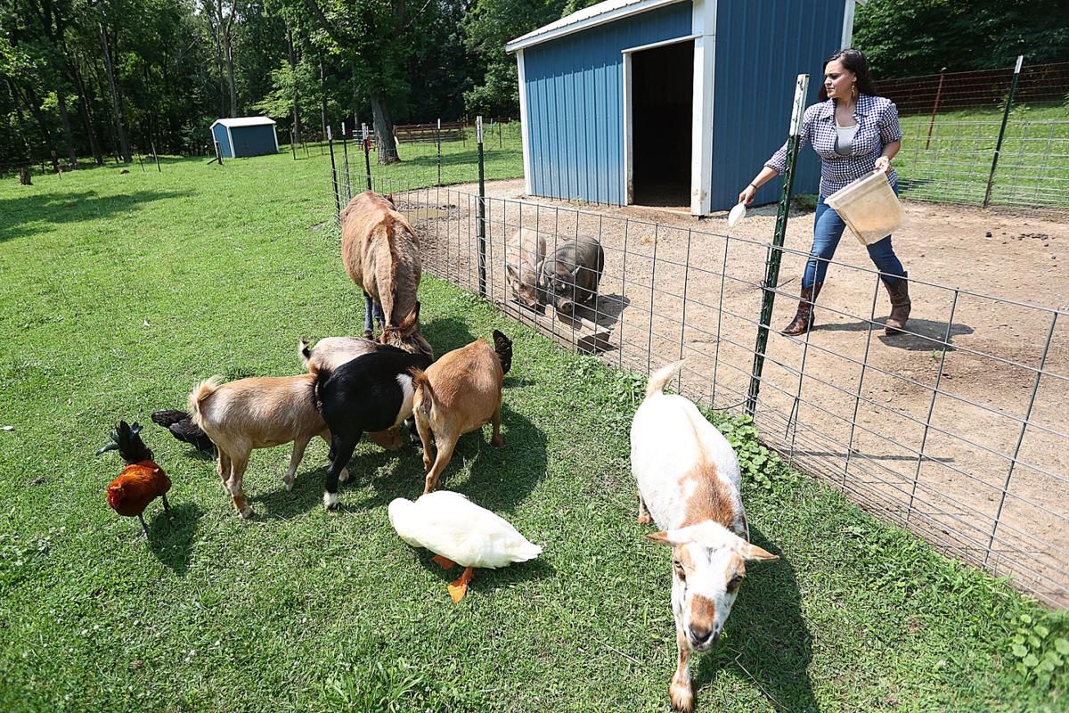Blue Barn Farms 08.jpg