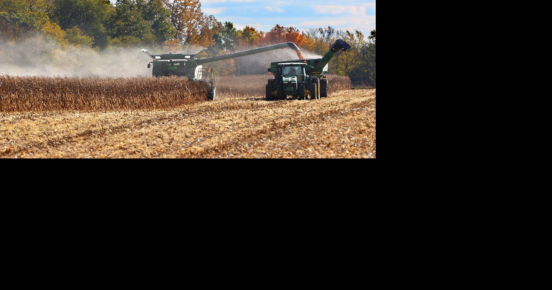 'You try to hang on': Local farmers wrap up harvest during year of ...