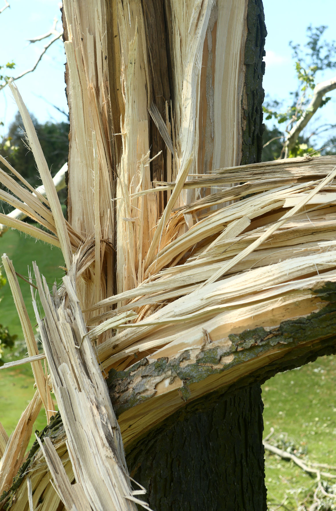 Tornado Cleanup Thursday