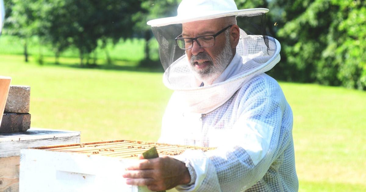Bee-keeping couple combat invasive species