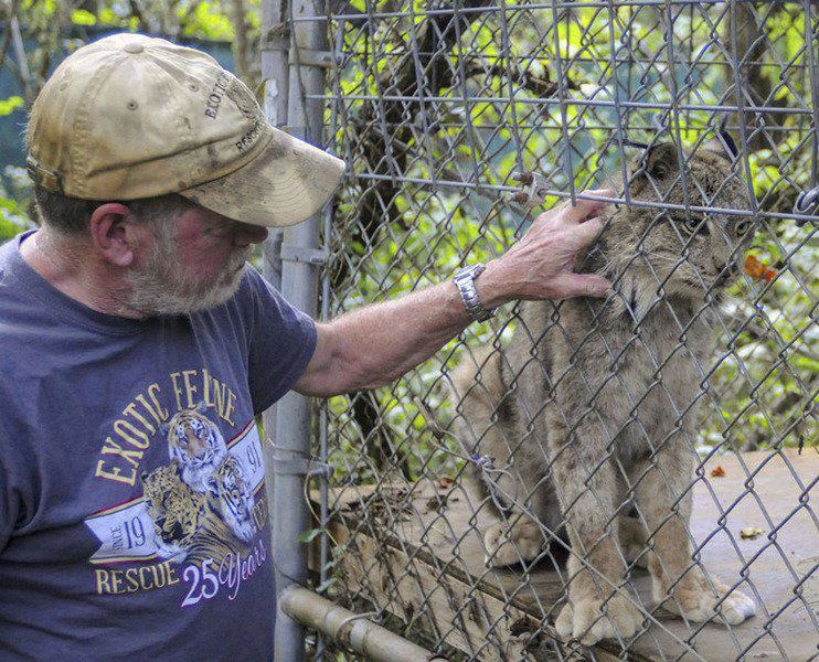 Indiana exotic rescue center celebrates 25 years Features