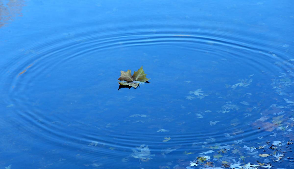 Eel River WEB ONLY 32.JPG