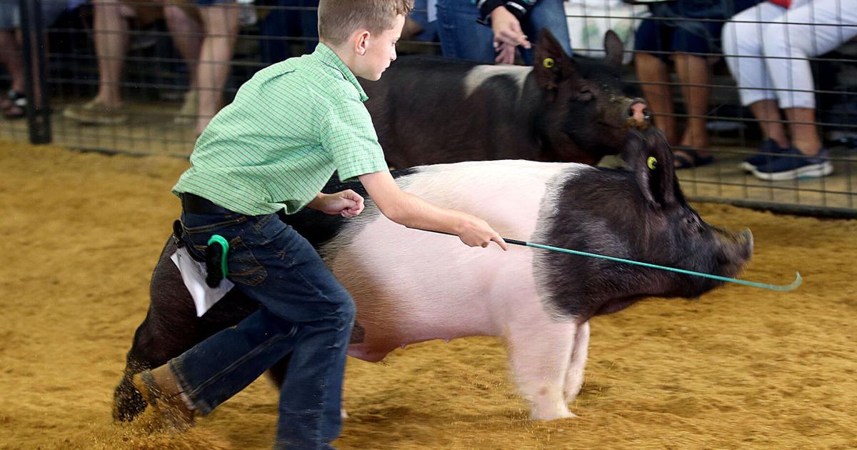 2025 Howard County 4H Fair results Howard County Fair