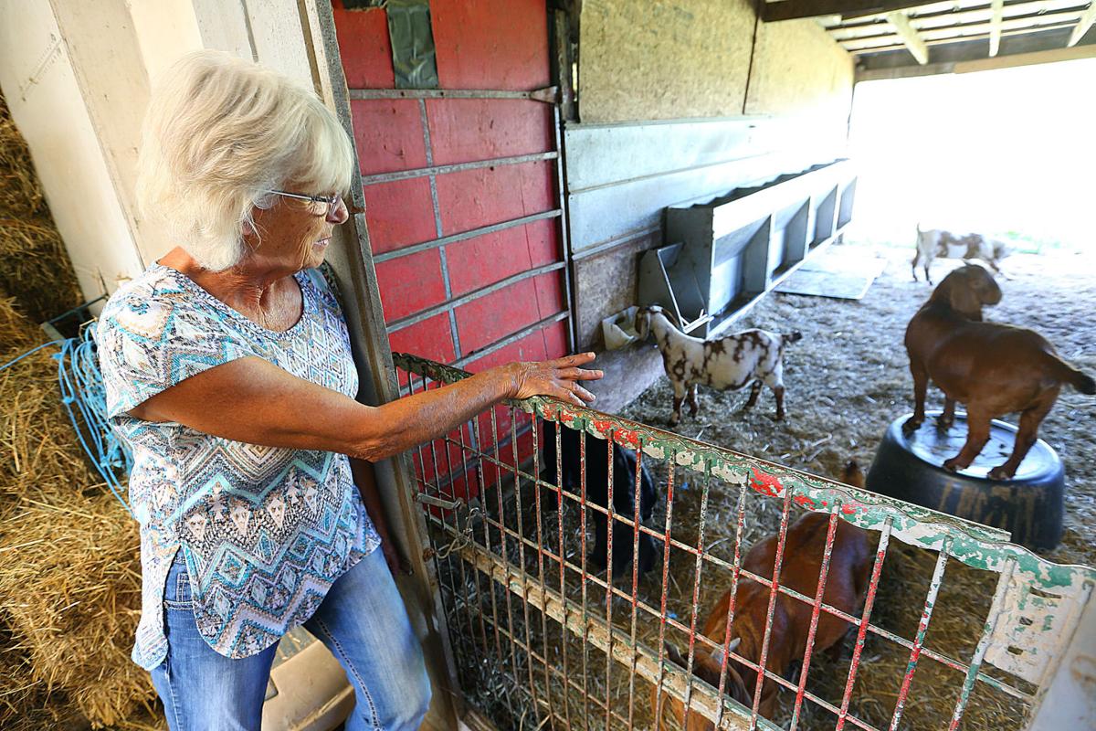 Thank a Farmer Going to the goats Local news