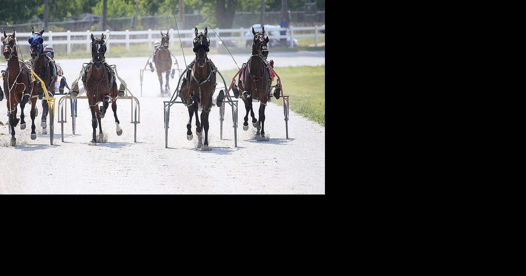 PHOTOS Converse 2023 Harness Racing News