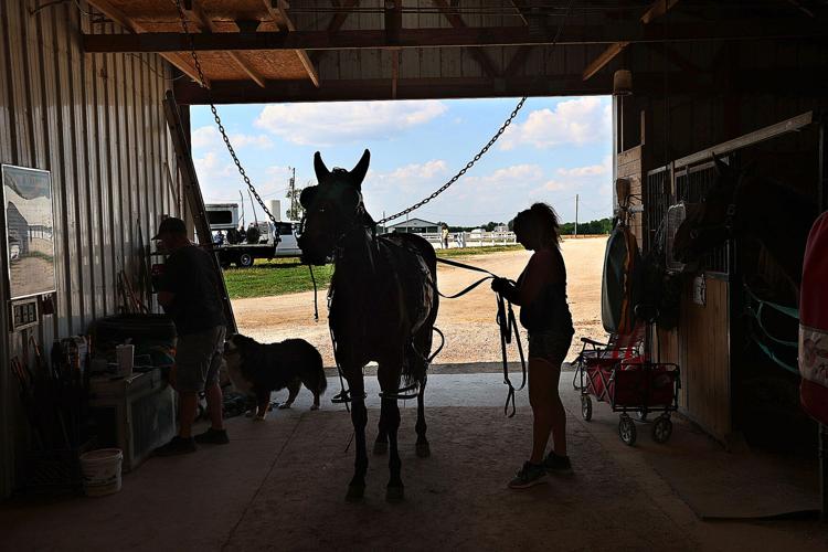 PHOTOS Converse 2023 Harness Racing News