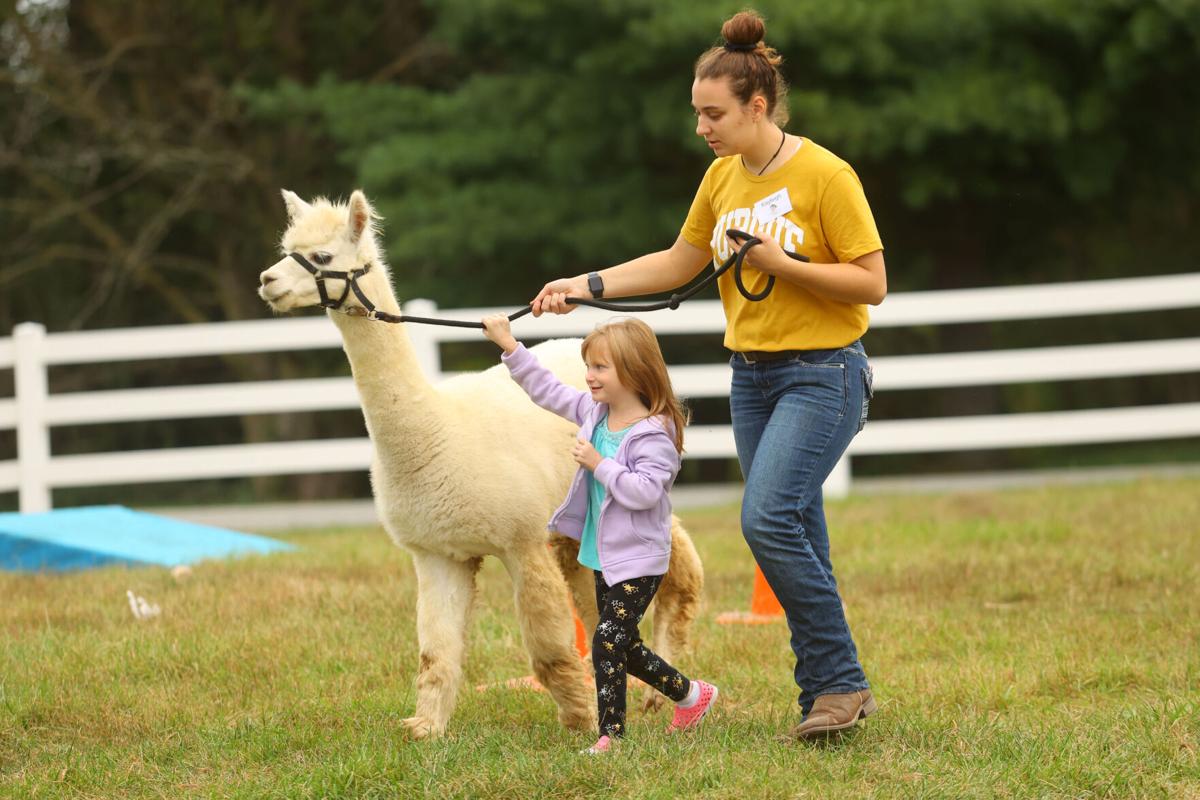 Fall 4 Alpacas Farm Day WEB ONLY 08.JPG