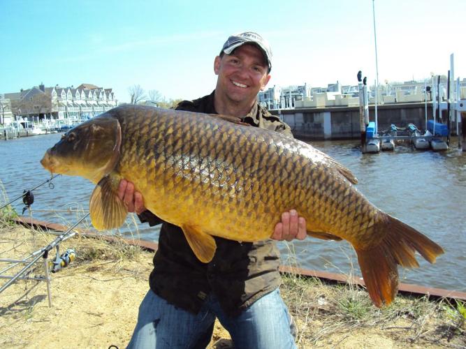 MARTINO: Much-maligned carp have some fans, Sports