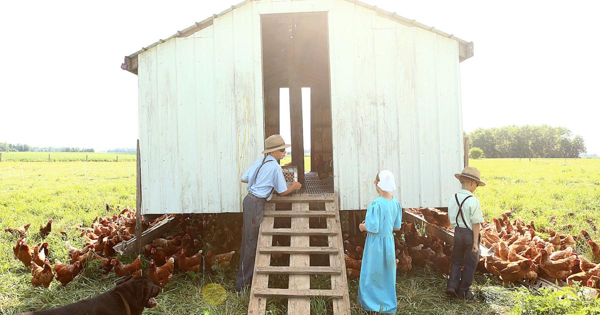 By S Design Homestead Heritage A Small Farm Success Story Local News Kokomotribune Com Homestead Heritage A Small Farm Success, Small Farm Design