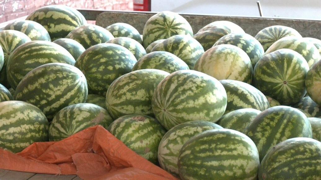 A day at the Ardmore Farmers Market Features