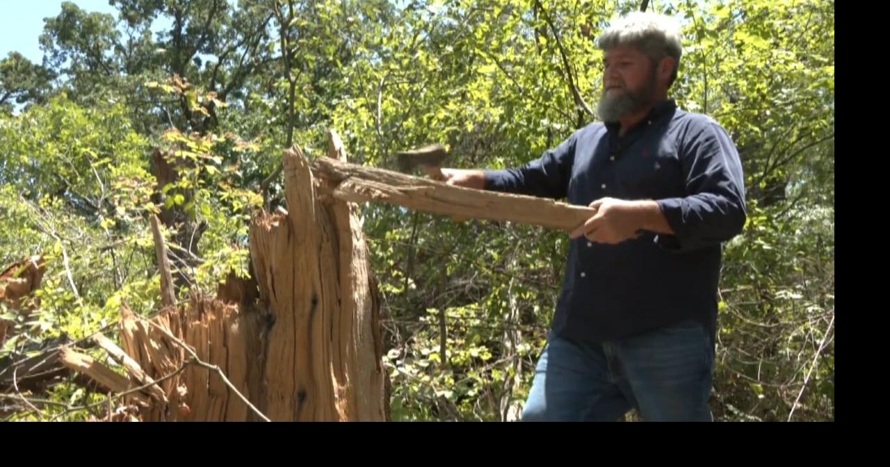 Fannin County tree farmer rebuilds crops one month after tornado | News ...