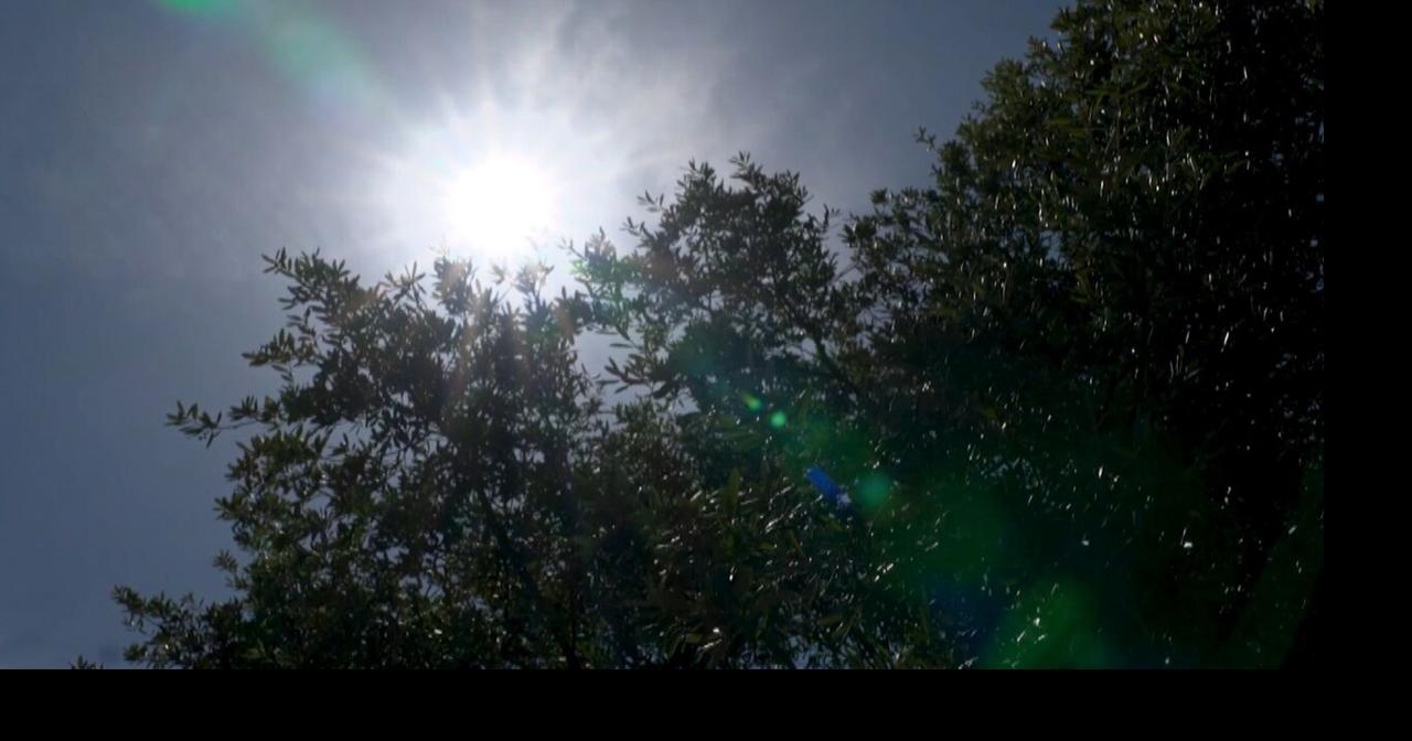 Child dies after being left in hot car in Texas
