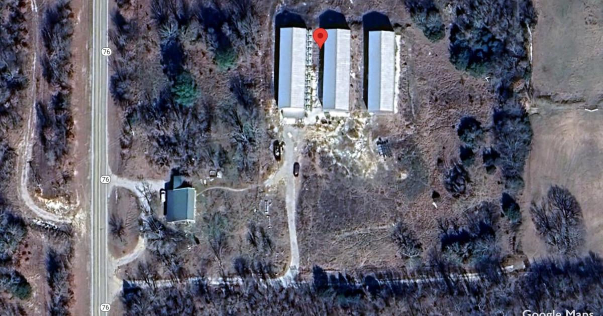 Wilson marijuana plant busted by law enforcement