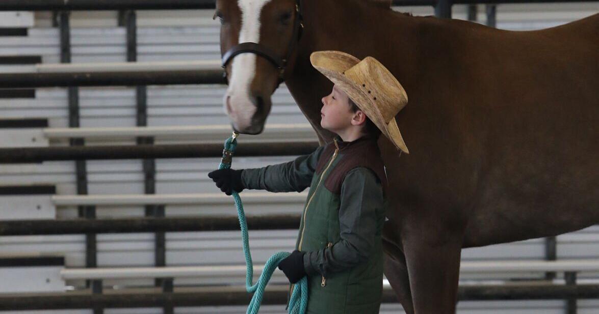 Bee County Livestock & Homemaker’s Show Horse Show results