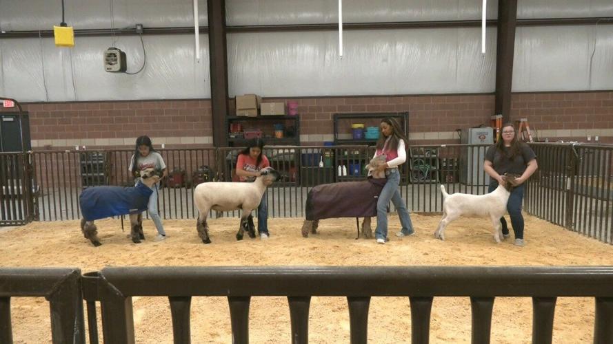 Gainesville ISD creates ag education showcase Features kten com