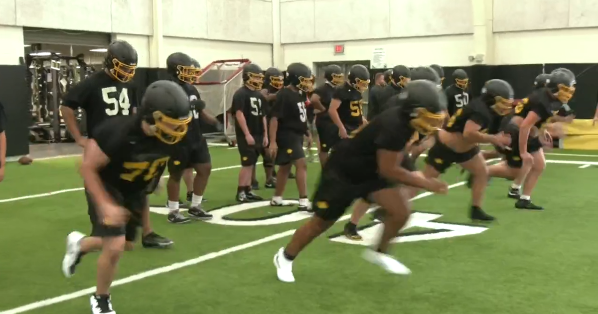 Denison is ready to sting in year one under Brian Lilly