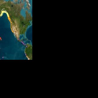 Pacific tsunami warning today live
