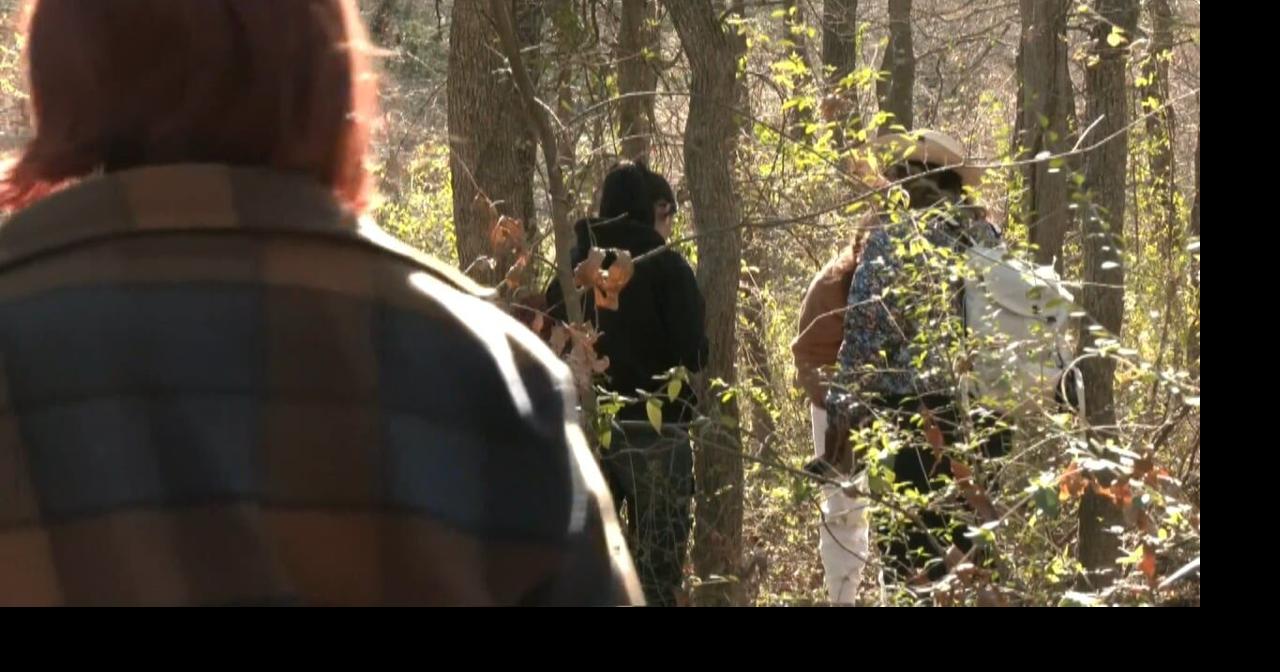 Mycological organization explores Sherman Forest