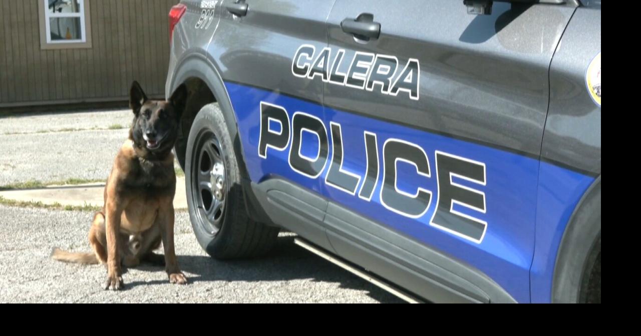 Calera's new police dog already making an impact | Oklahoma Headlines ...