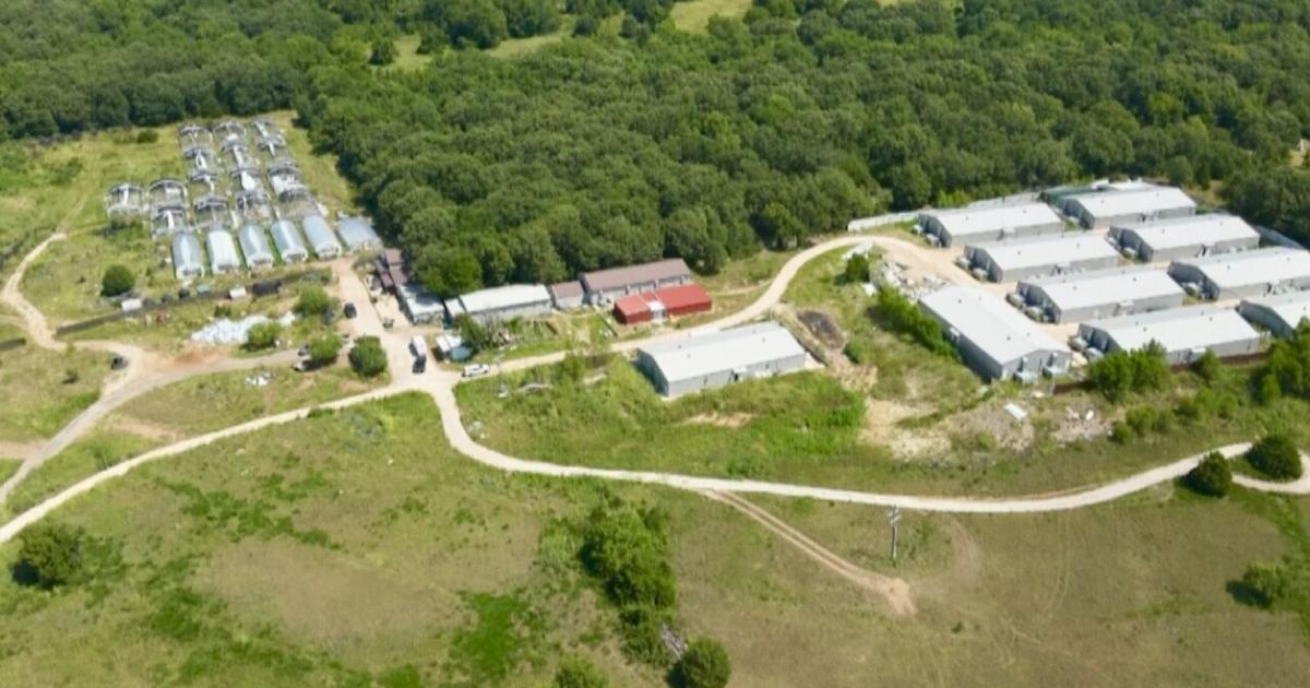 Marijuana farm busted in Garvin County