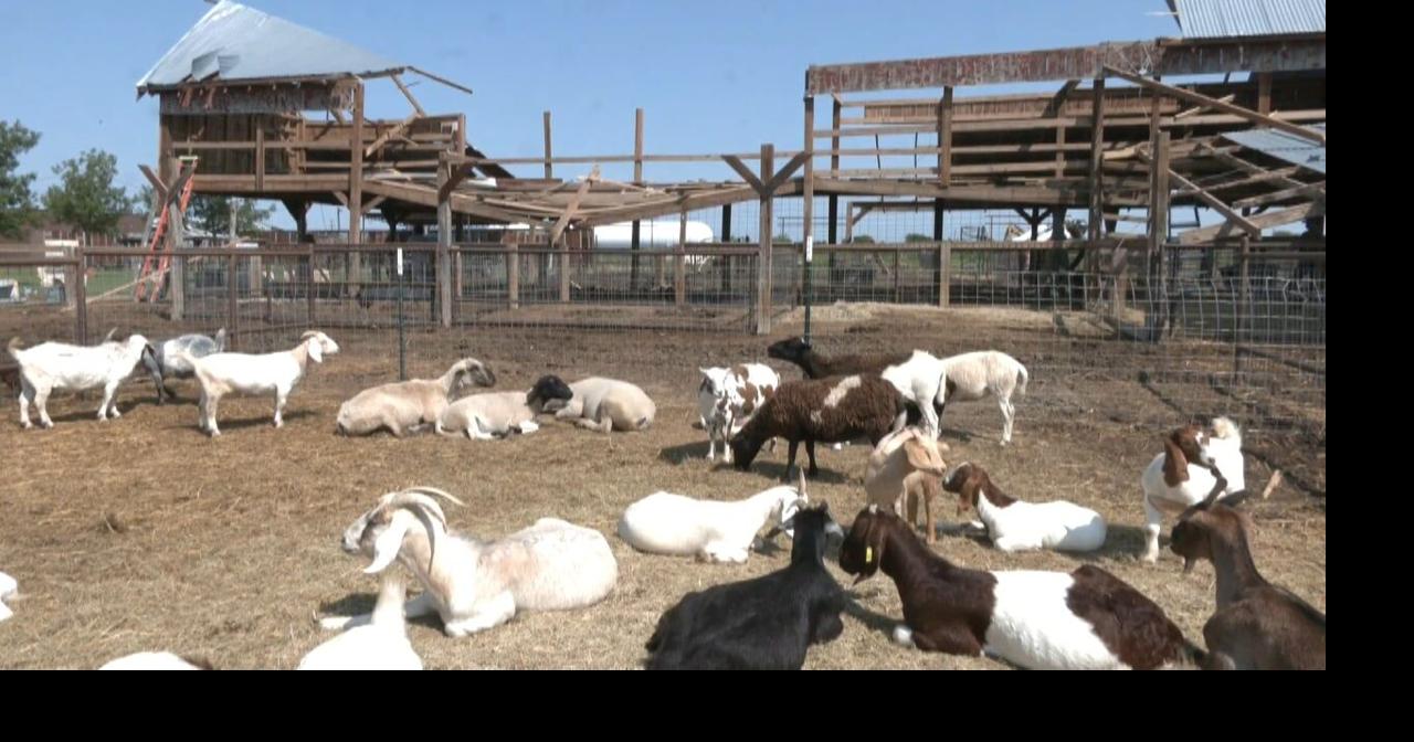 Gunter farm damaged in weekend storm | Texas Headline | kten.com