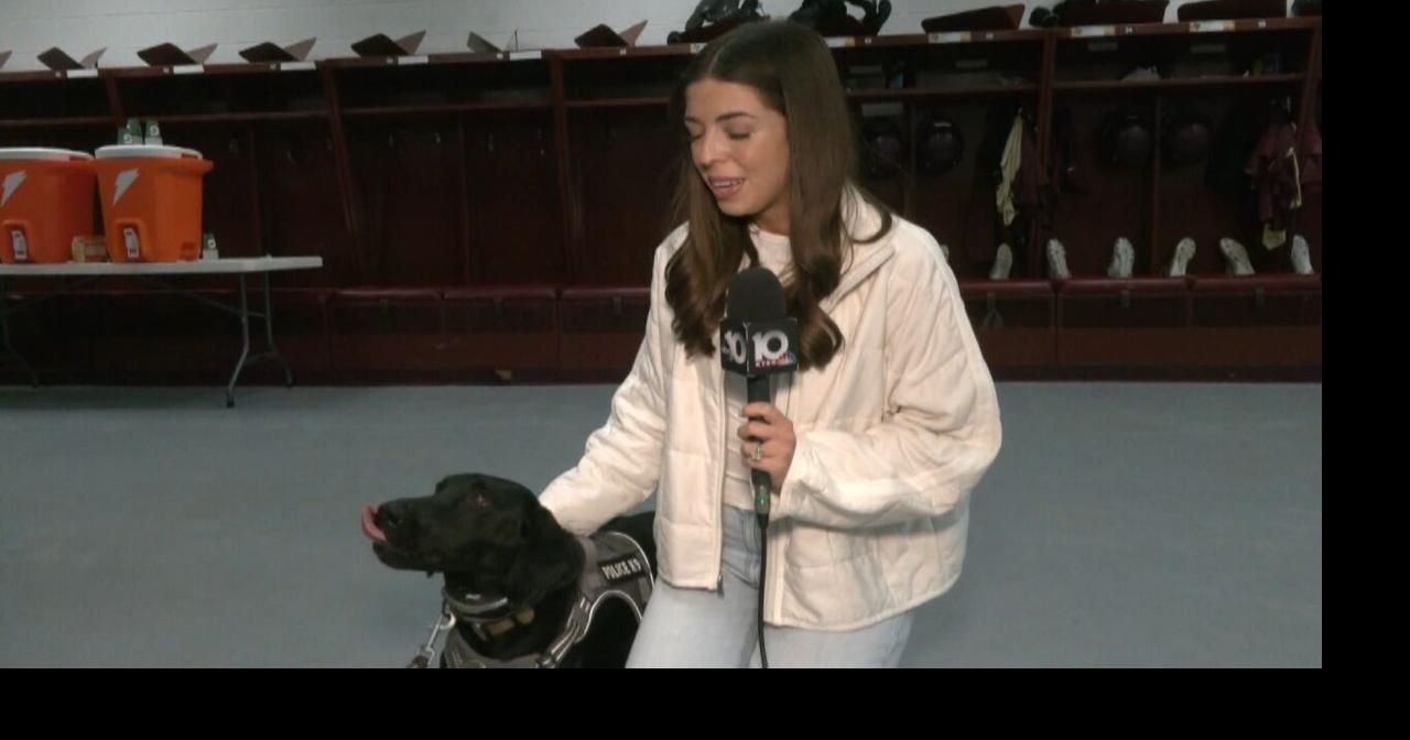 First Responder Fridays: Meet Whitesboro ISD Police K9 Korra | News ...