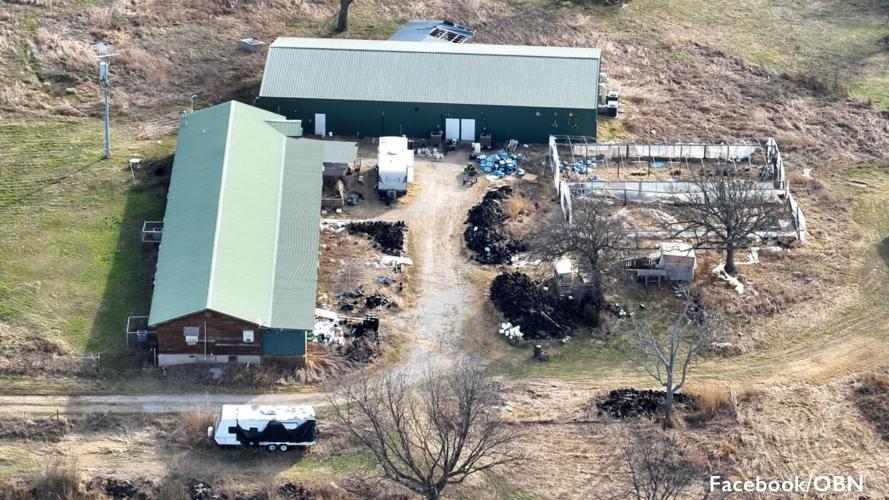 Unlicensed Murray County marijuana grow raided | Oklahoma Headlines ...