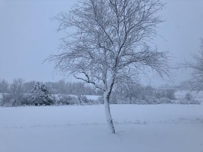Brutal cold and snow expected for Tri-State in coming days; snow ...
