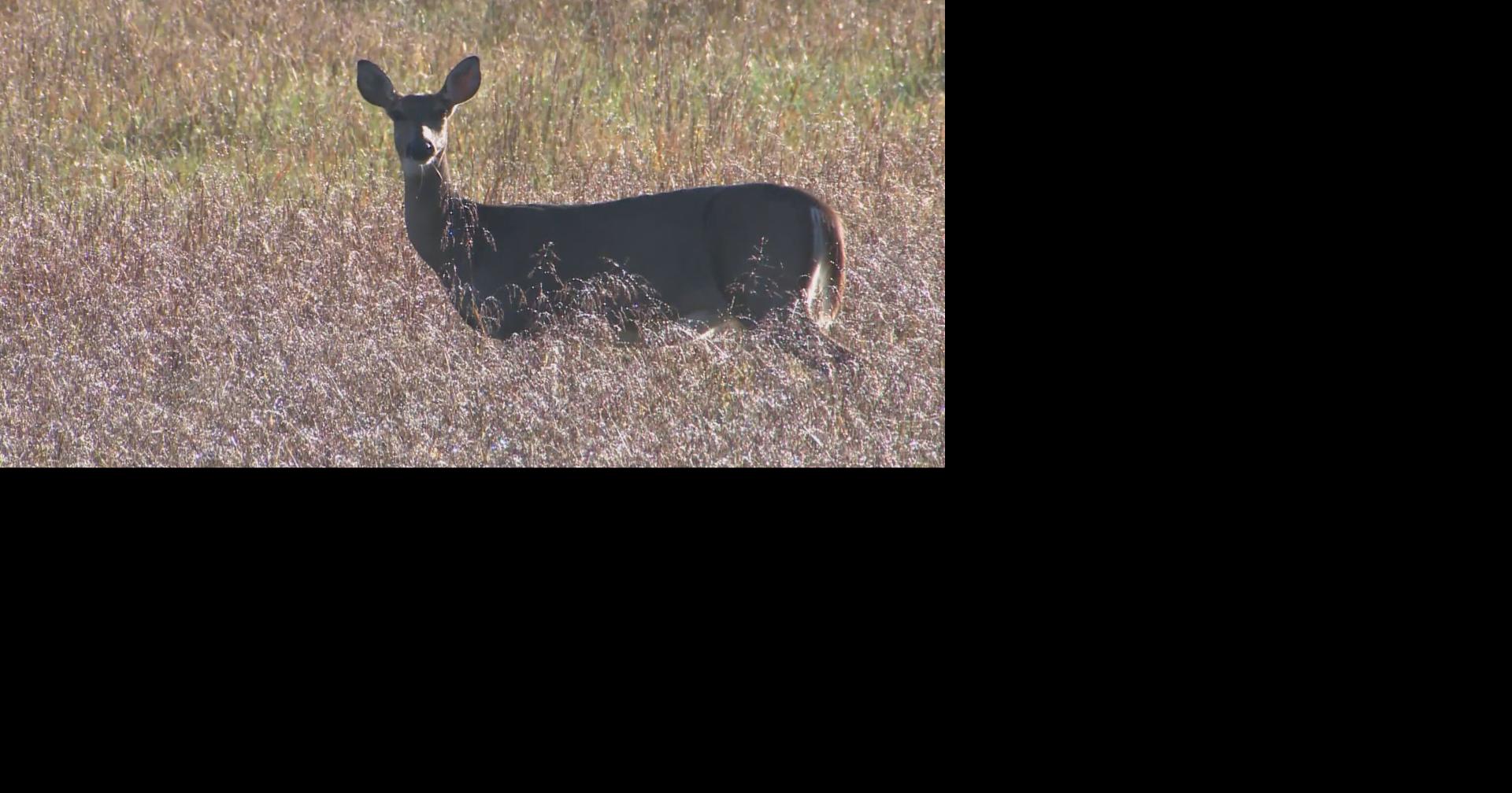 Missouri Department of Conservation removes cost to donate deer