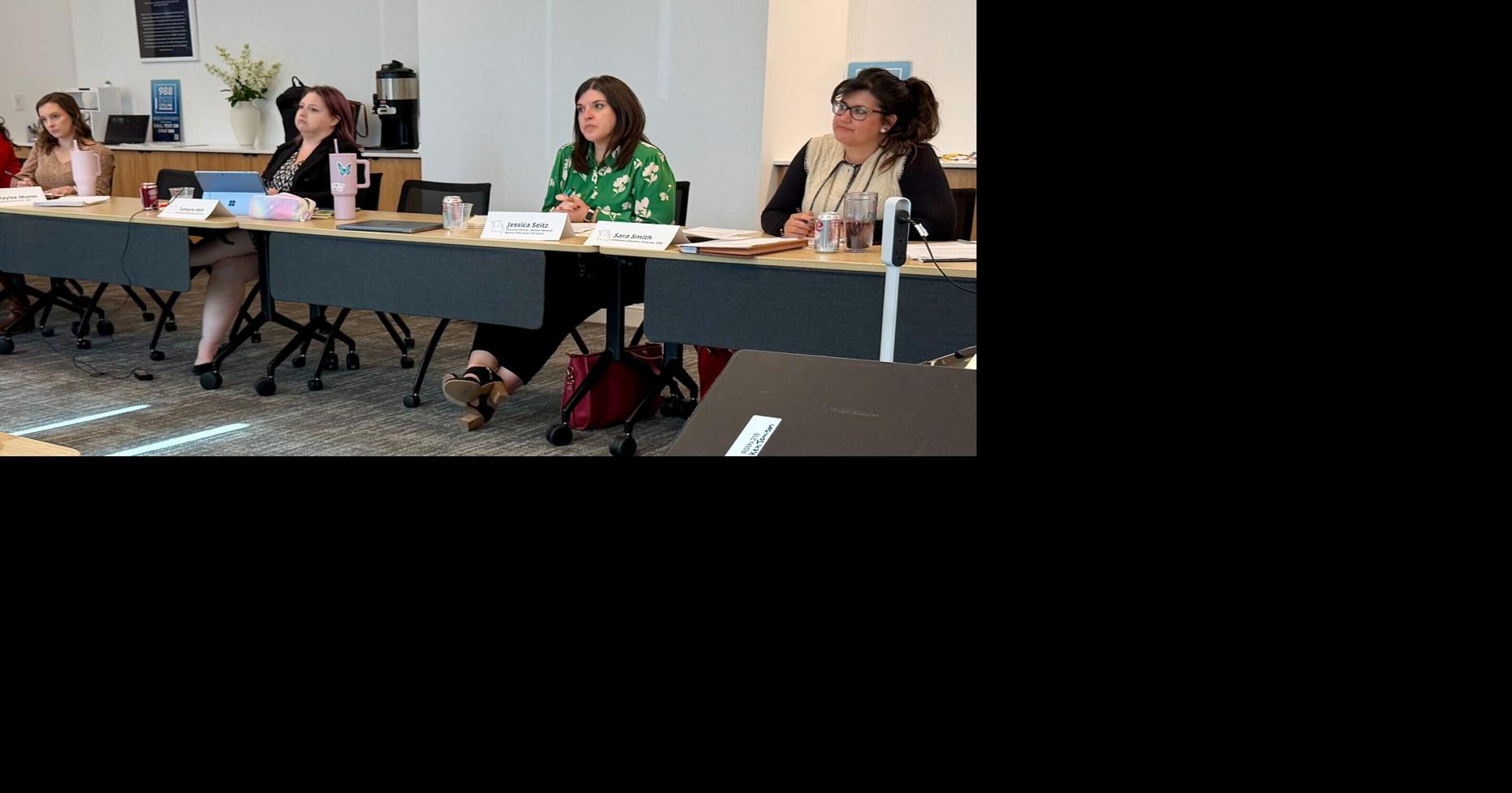 Missouri task force drafts new child safety rules for courts ...