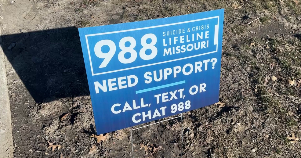 Life Line Local Behavioral health organizations push for prevention before calling ...