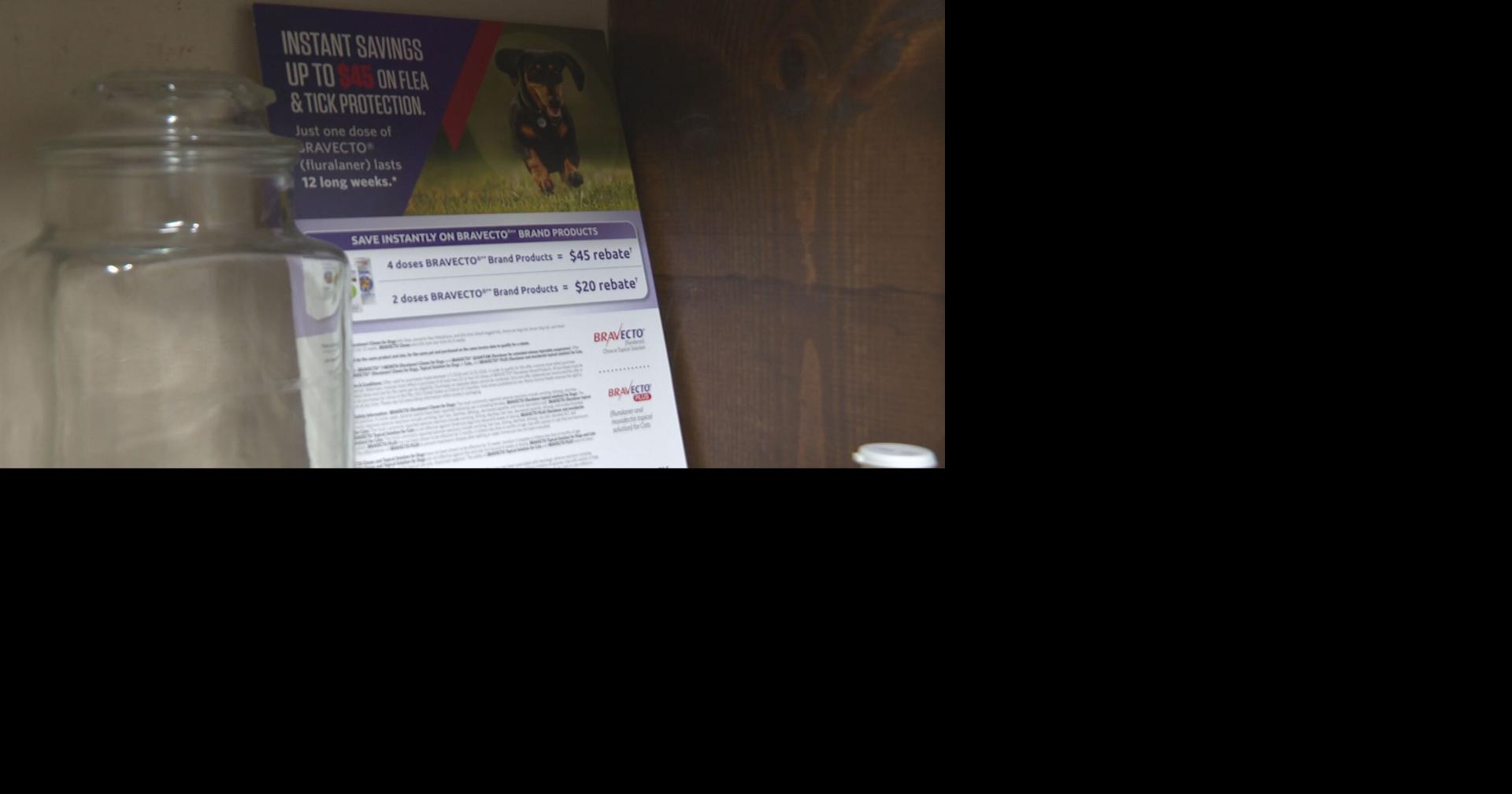 Pets face an increased risk of fleas and ticks in spring | Local News ...