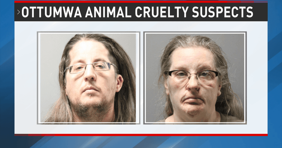 Ottumwa couple charged with animal cruelty in starving dog case | Local ...