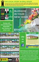 RVNG REAL ESTATE DUMMY - Ad from 2024-04-27