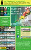RVNG REAL ESTATE DUMMY - Ad from 2024-04-13