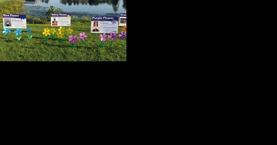 Walk anticipates $100,000 raised to end Alzheimer's - Vimarsana News