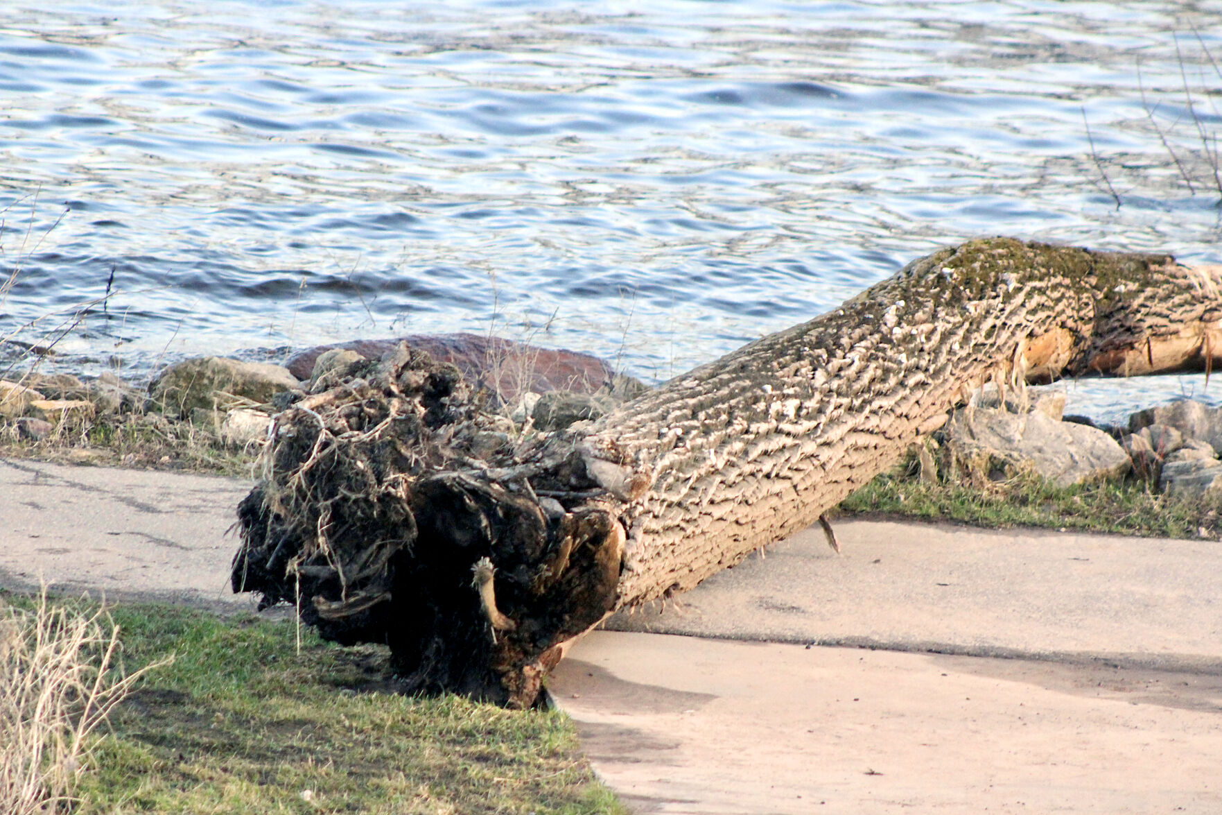 Flood cleanup plans uncertain for Chippewa Falls riverfront