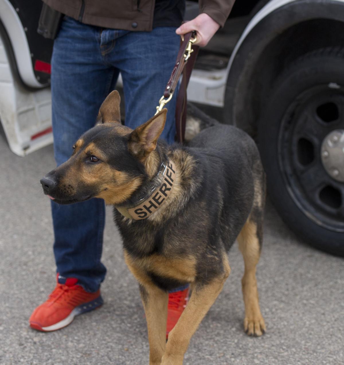 81 Dogs Receive Narcotic Certification At Southeast Tech Local