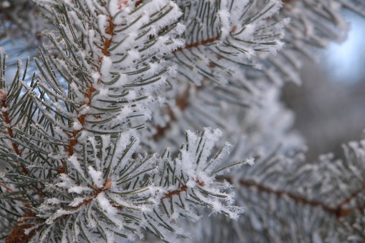 Weather Alert: Snow, Dangerously Cold Wind Chills In Forecast