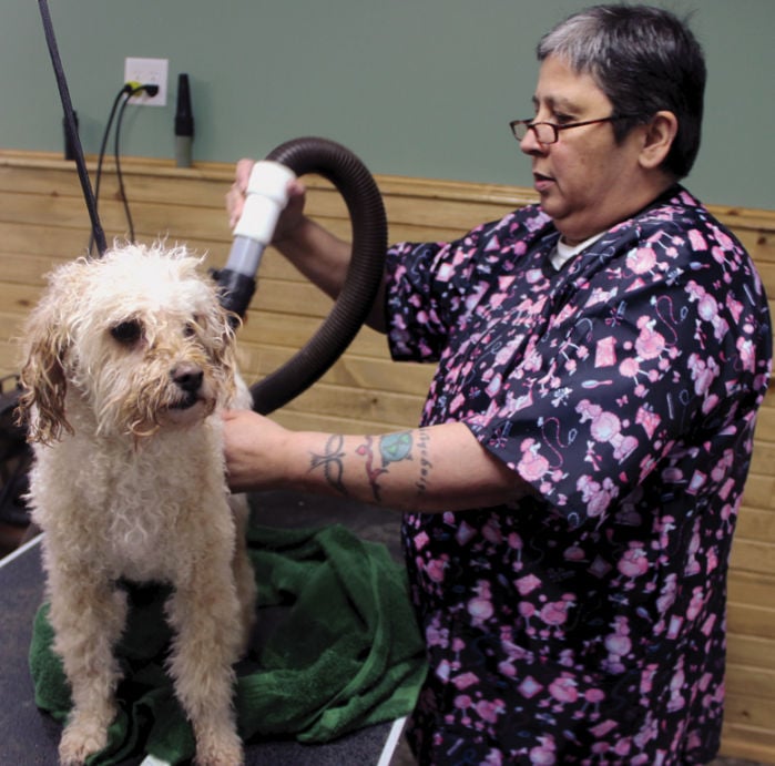 cockapoo groomers near me