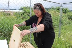 Winona group launches beekeeping program with aim of helping bees, community and clients