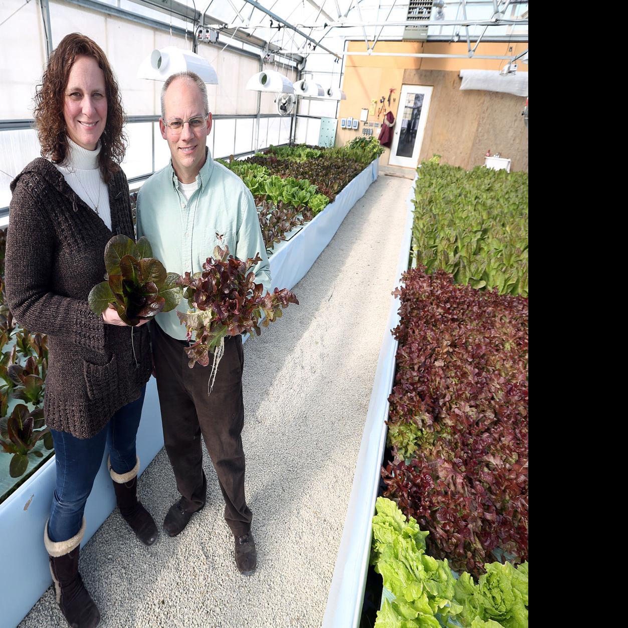 Rural Bangor Aquaponics Facility Grows Tilapia And Produce For
