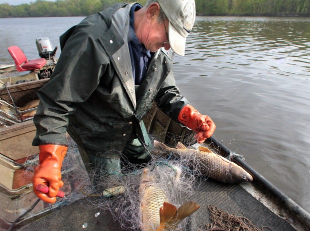 Commercial fishing a fading trend on the Upper Mississippi