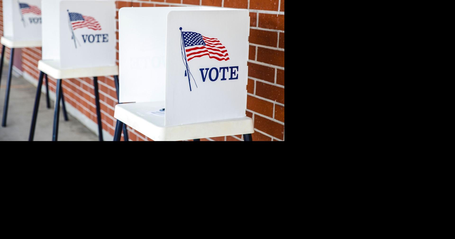 A look at what's on the primary ballot in Vernon County