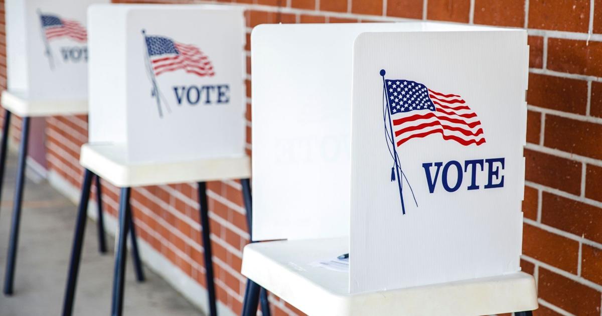 A look at what's on the primary ballot in Vernon County