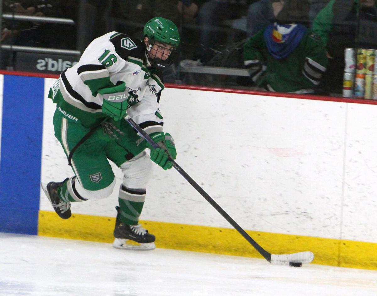 December 29, 2018 North Dakota Fighting Hawks goaltender Adam